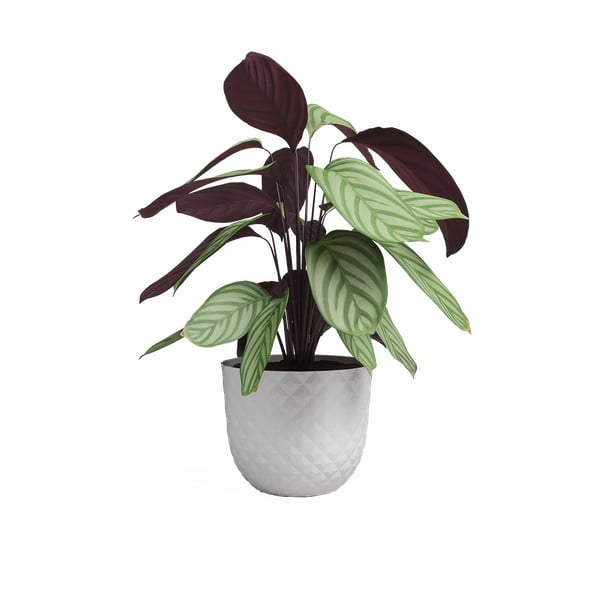 Tegla za cvijeće od reciklirane plastike ø 30 cm Havana – Artevasi-image-2