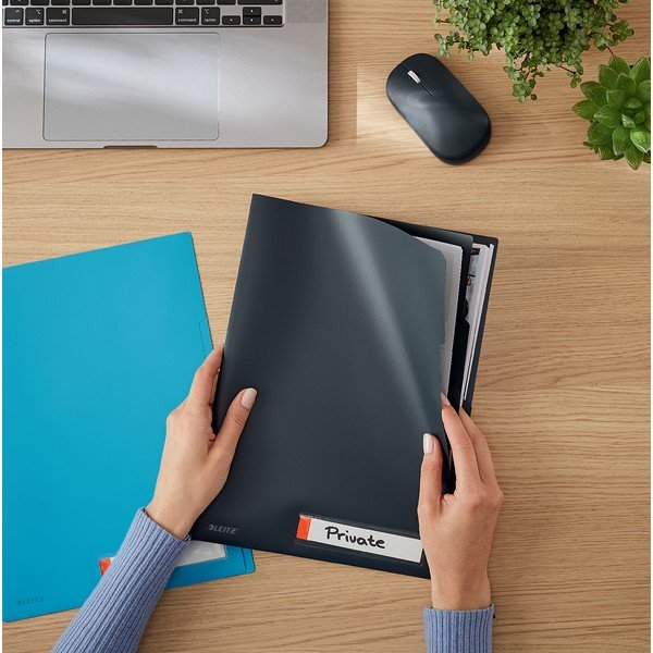 Sivi uredski fascikl za sortiranje Leitz Cosy, A4-image-1