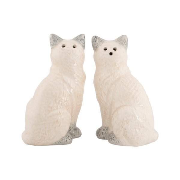 Soljenka i paprenka Ragdoll Cat – Sass & Belle-image-1