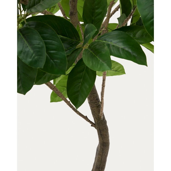 Umjetni fikus (visina 210 cm) Ficus – Kave Home-image-2