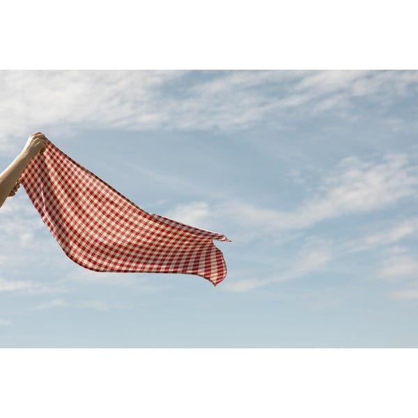 Stolnjak Really Nice Things Red Vichy, 140 x 140 cm-image-3