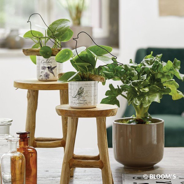 Smeđa keramička tegla Big pots Bari, ø 19 cm-image-1