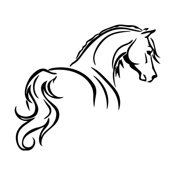 Naljepnica Fanastick Elegant Horse-image-2