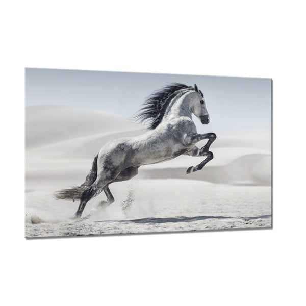 Slika Styler Glasspik Glasspik Animals Horse, 80 x 120 cm