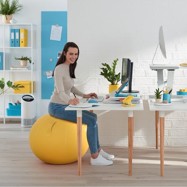 Ergonomska lopta za sjedenje ø 65 cm Ergo – Leitz-image-4