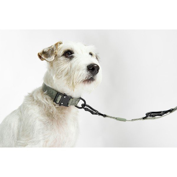 Zeleni ogrlica S/M dužina 32 cm Modena Grolive S/SM – MiaCara-image-4