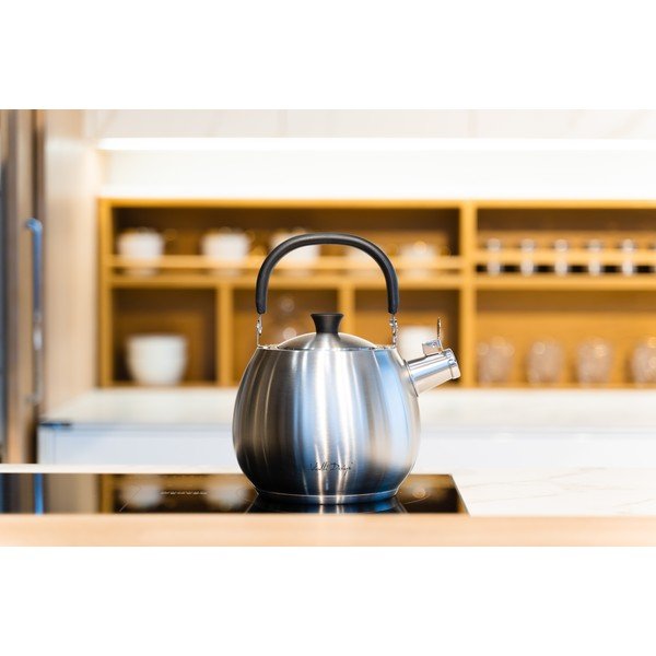 Kuhalo za vodu od nehrđajućeg čelika srebrne boje Vialli Design Bolla, 2,5 l-image-1