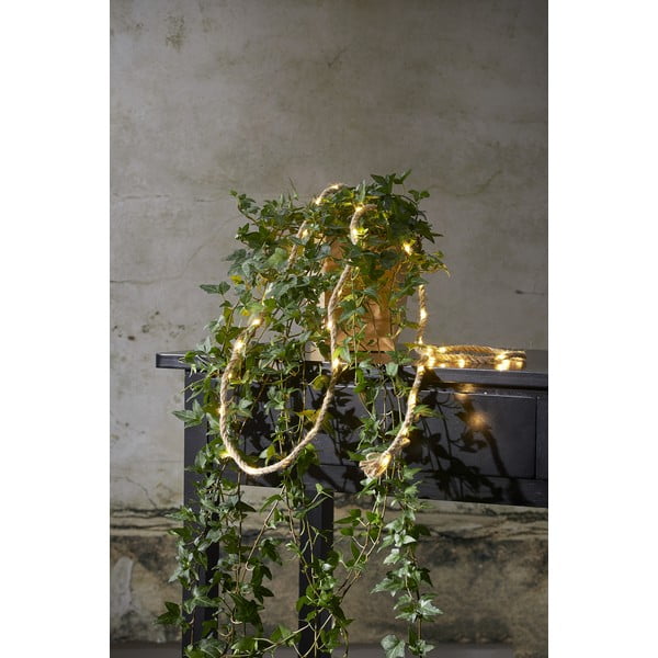 Smeđi LED rasvjetni lanac Star Trading Jutta, 40 svjetala, dužina 200 cm-image-2