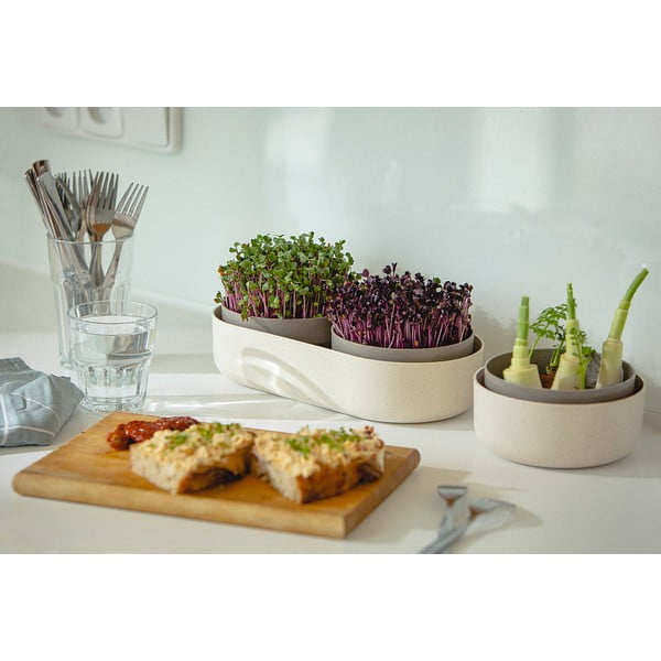 Posuda za klijanje, ø 16 cm Regrow - Plastia-image-4