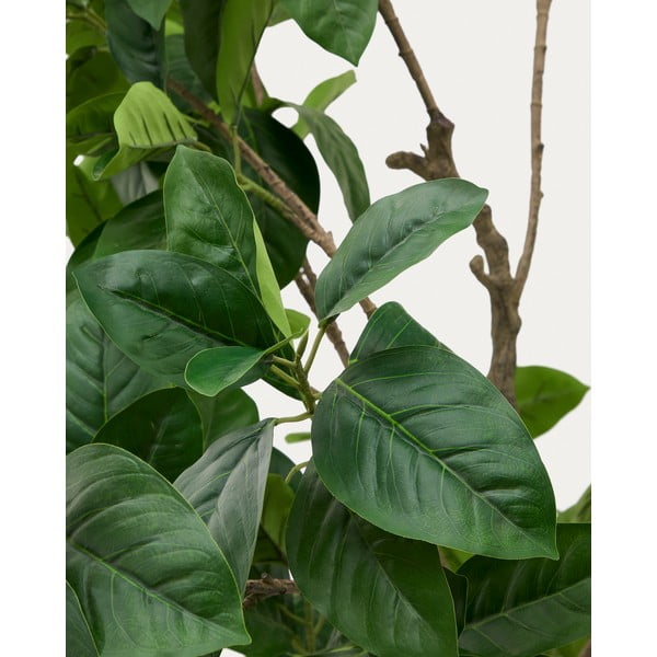 Umjetni fikus (visina 210 cm) Ficus – Kave Home-image-1