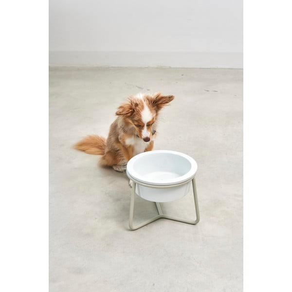 Porculanska posuda s postoljem za pse ø 20 cm Pranzo Greige M – MiaCara-image-1