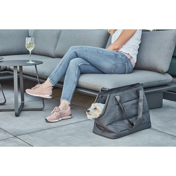 Transporter za pse 25x45 cm Sporta Asphalt S/M – MiaCara-image-3