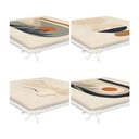 Jastuci za sjedenje u setu 4 kom 42x42 cm Illustrated Arch – Mila Home