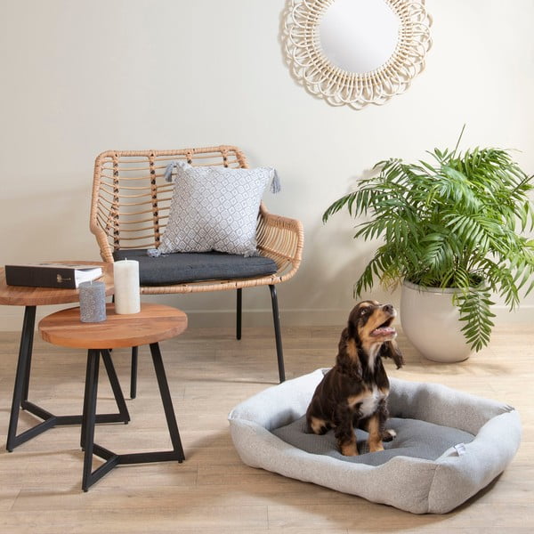 Svijetlo sivi krevet za pse 70x58 cm Graphene – Love Story-image-1