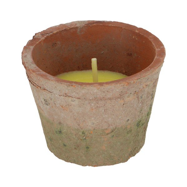 Mirisna svijeća vrijeme gorenja 10 h Citronelle – Esschert Design-image-3