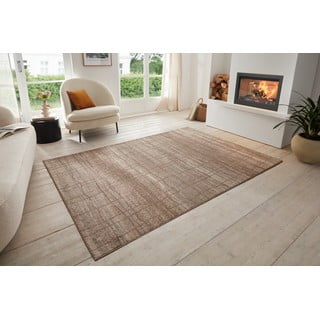 Smeđi/bež tepih 80x120 cm Terrain – Hanse Home