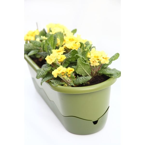 Zelena samozalijevajuća tegla Plastia Mareta, dužina 80 cm-image-2