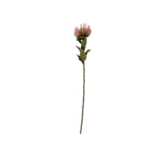 Umjetna biljka (visina 73 cm) Protea – PT LIVING
