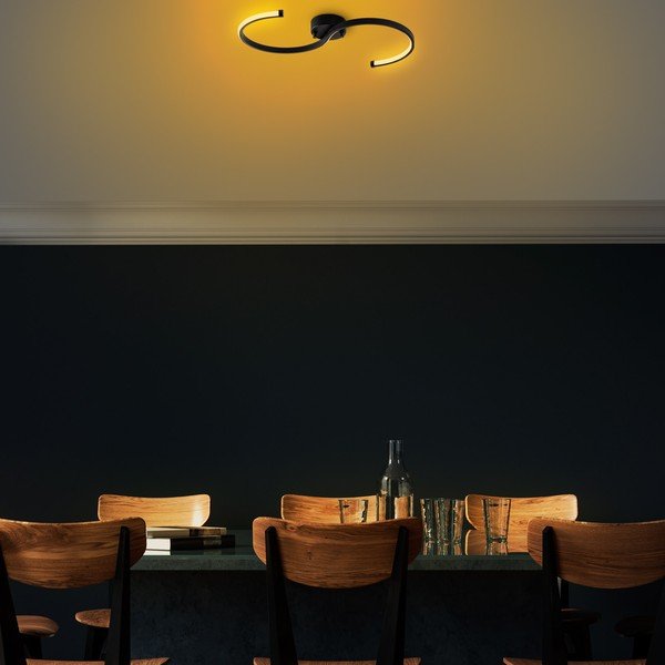 Crna LED stropna svjetiljka 25x10 cm Es – Opviq lights-image-4