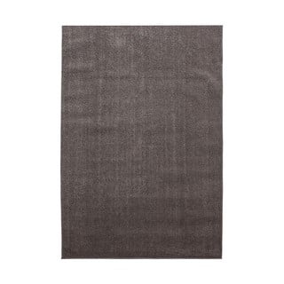 Smeđi tepih 60x100 cm Ata – Ayyildiz Carpets