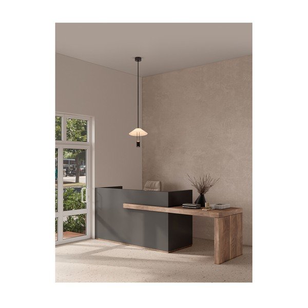 Mat crna LED viseća svjetiljka aluminijska sa sjenilom od akrilnog stakla ø 22 cm Anafi – Nova Luce-image-1