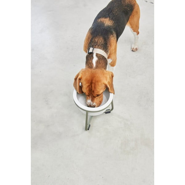 Porculanska posuda s postoljem za pse ø 20 cm Pranzo Grolive M – MiaCara-image-4