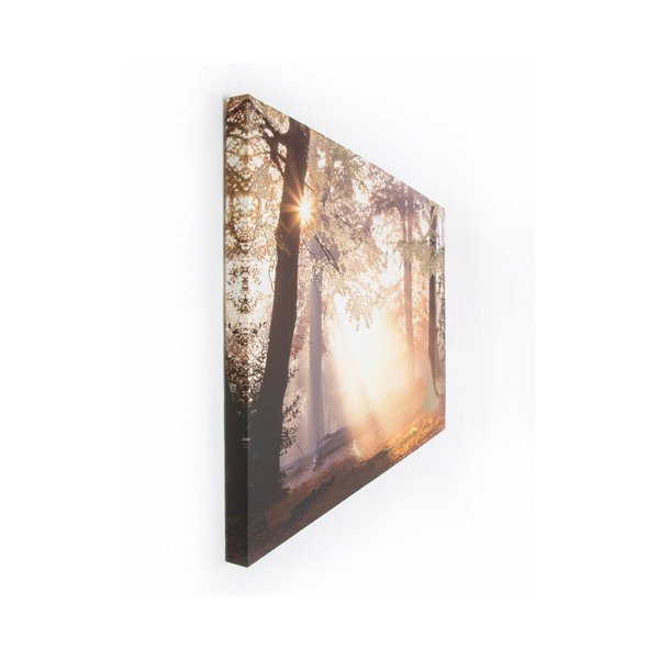 Slika Graham & Brown Metallic Forest, 80 x 60 cm-image-2