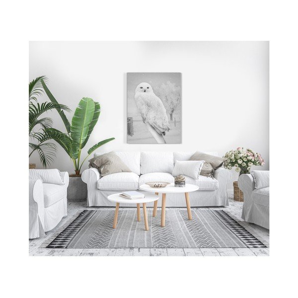 Slika Styler Canvas Nordijska sova, 75 x 100 cm-image-1