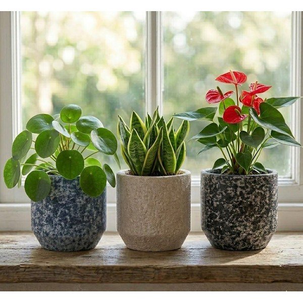 Keramička ručno rađena ukrasna tegla za cvijeće ø 14 cm Almada – Ego Dekor-image-1