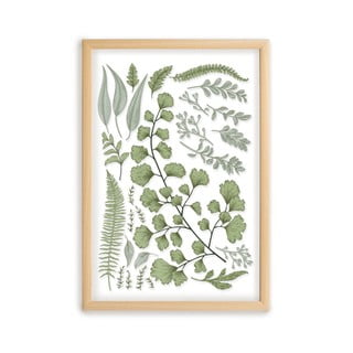 Slika s okvirom od borovog drva Surdic Leafes Collection, 50 x 70 cm