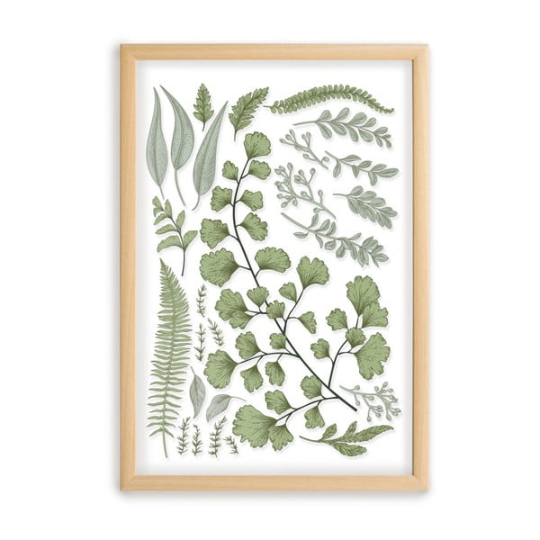 Slika s okvirom od borovog drva Surdic Leafes Collection, 50 x 70 cm