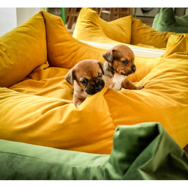 Žuti  krevet za pse 80x67 cm – Madison-image-1