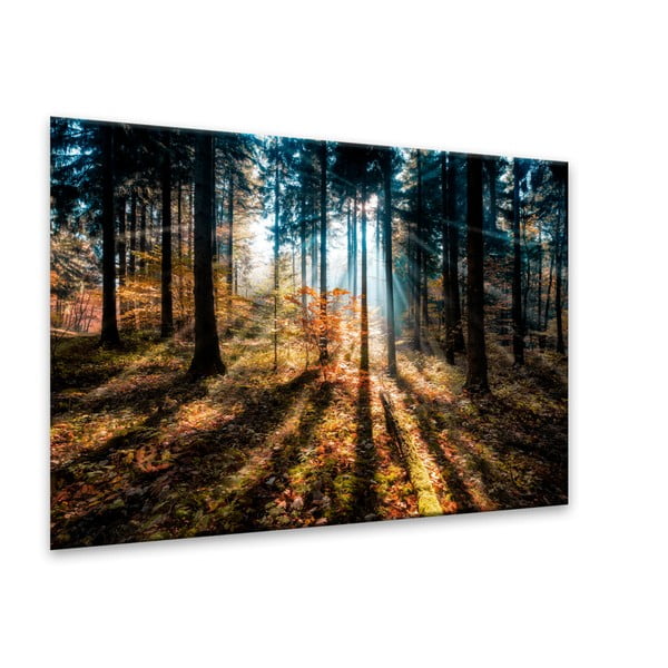 Slika Styler Glasspik Autumn Sunset, 70 x 100 cm-image-2