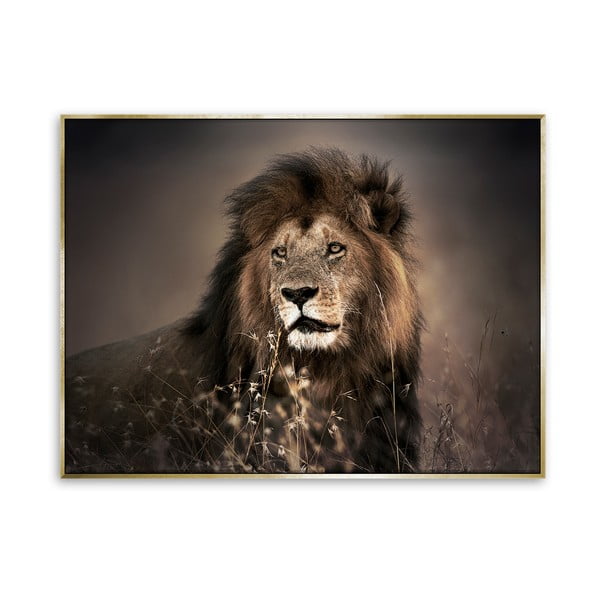 Slika na platnu Styler Zlatni lav, 115 x 87 cm