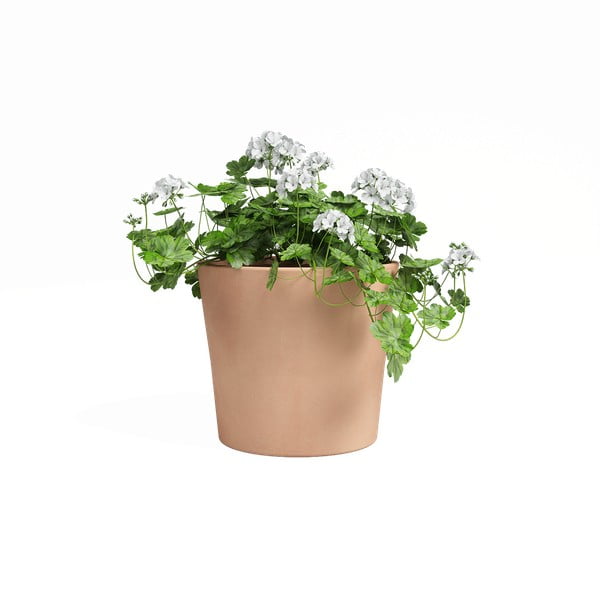 Tegla za cvijeće od terakote ø 24 cm Manuel – Artevasi-image-1