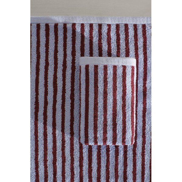 Bordo/svijetlo plavi pamučni ručnici u setu 2 kom 30x50 cm Dixie – Jotex-image-1