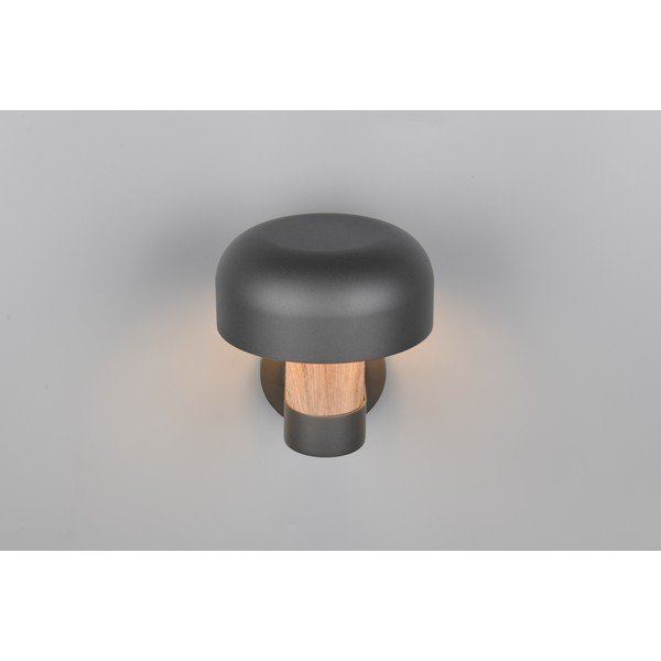 Zidna vanjska svjetiljka (visina 24,5 cm) Fraser – Trio-image-2