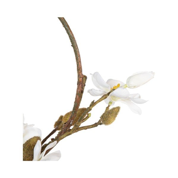Vijenac Magnolia – Ixia-image-1