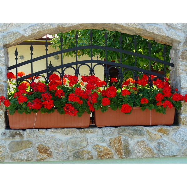 Smeđa samozalijevajuća tegla Plastia Siesta, dužine 80 cm-image-1