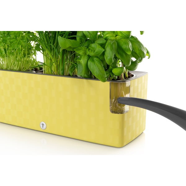 Zelena samozalijevajuća tegla Flower Lover Cobble Trio, 40 x 14 cm-image-1