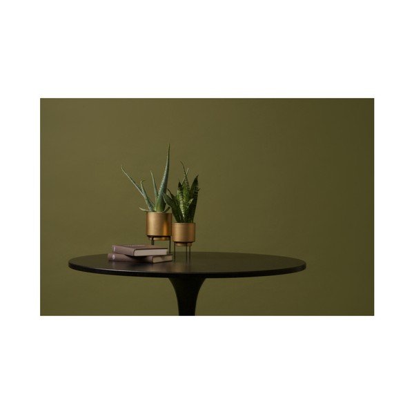 Zlatna saksija DRVO Guus, Ø 13 cm-image-3