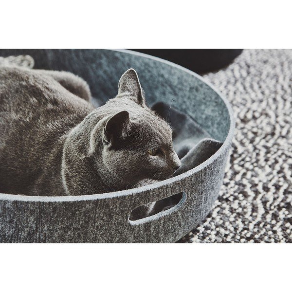 Tekstilna košara za skladištenje ø 46x12 cm Cesto Concrete – MiaCara-image-3