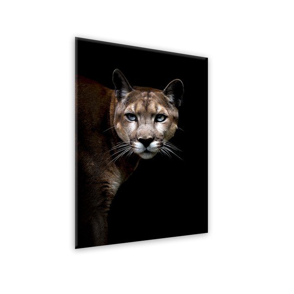 Slika Styler Glas Animals Cougar, 70 x 100 cm-image-1
