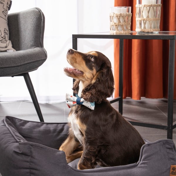 Plavi krevet za pse 50x55 cm – Love Story-image-4