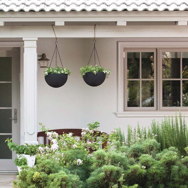 Plastična viseća i zidna posuda za cvijeće ø 35 cm Hangingsphere – Keter-image-1