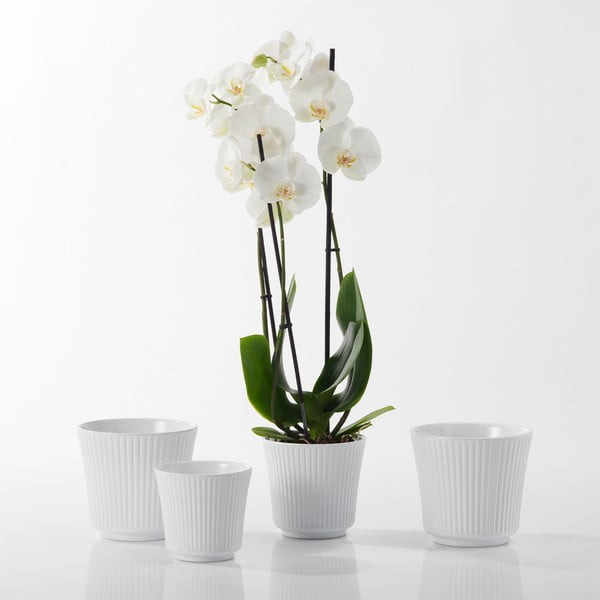 Bijela keramička tegla Big pots Gloss, ø 12 cm-image-1