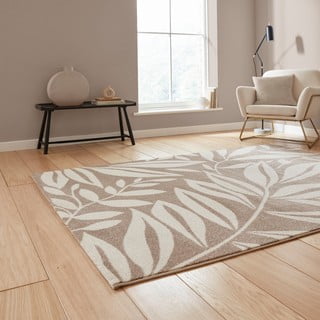 Svjetlo smeđi tepih 160x230 cm Sorral Leaves  – Catherine Lansfield