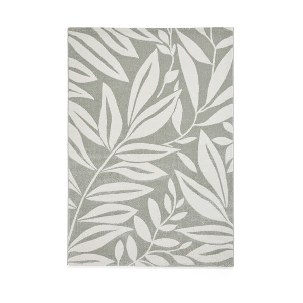 Svijetlo zeleni tepih 120x170 cm Sorral Leaves  – Catherine Lansfield