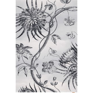 Svijetlo sivi vuneni tepih 200x300 cm Talwin – Agnella