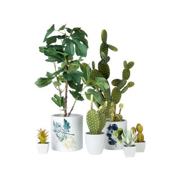 Saksija PT LIVING Autumn Sense Medium-image-1